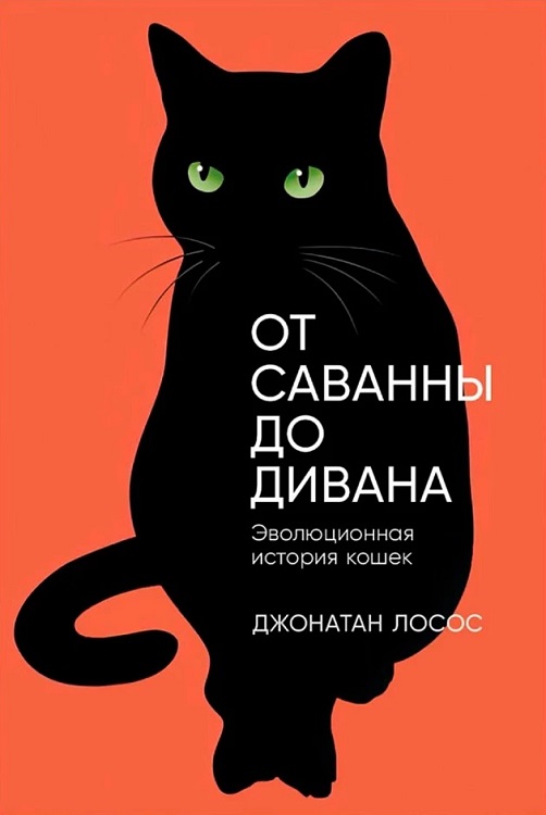 до дивана.jpg