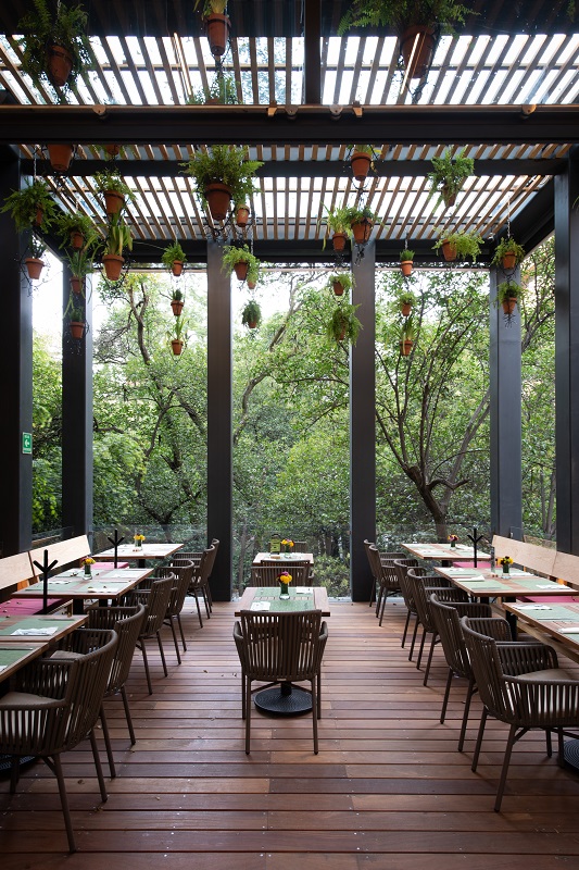 10 SAN ANGEL1.jpg