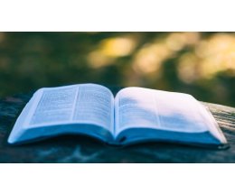 ��������������� ���� ������� �� ������ � ������� ������� ����� � ����������� ��������� � ����������� �������� ������� ��������