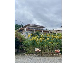 Книжный магазин как место выбора Книжный магазин как место выбора